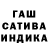 ГАШ hashish Alice Bolgova