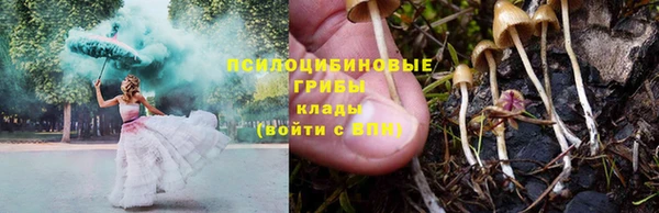 COCAINE Каменка