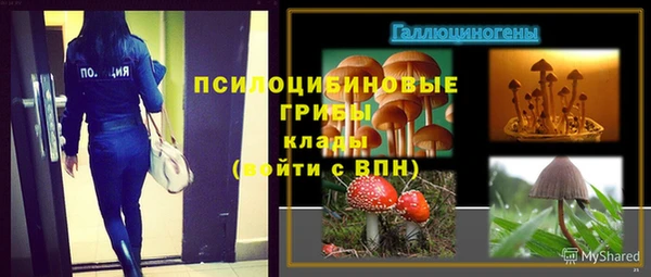 дурь Каменногорск